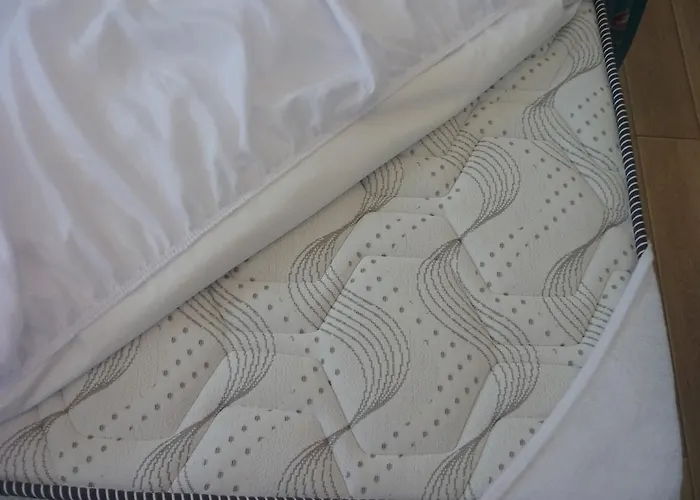 巴希尔别墅公寓 公寓 *